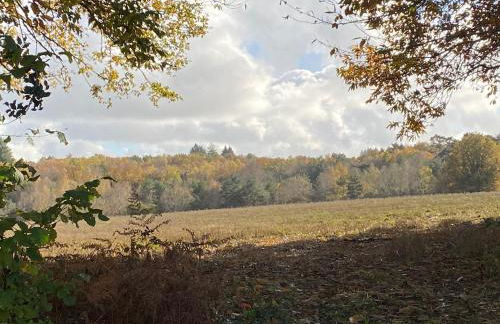 Belle Vue Gite - Foto 38