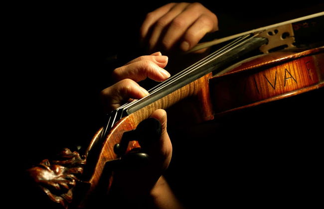 Concerto di Mozart al Castello di Mirabell - Foto 6