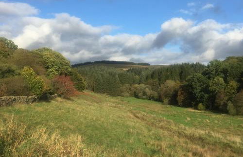 Willow Cottage, Gilchristland Organic Farm - Foto 16