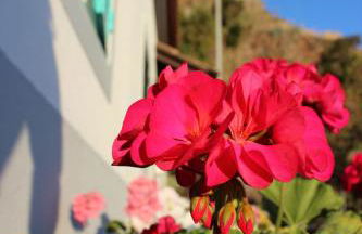 Aqua Sea House - Foto 17