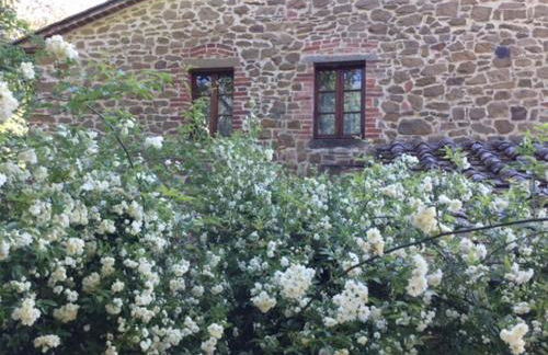 La Berchiera - Foto 12