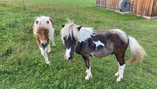 SUNNLEITN HOF - Foto 5