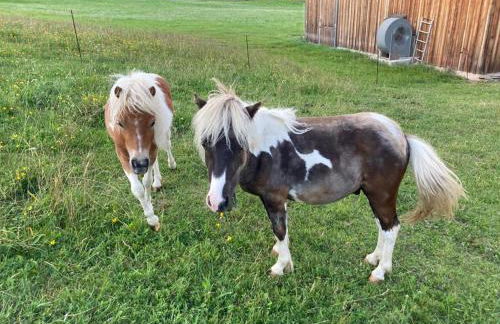 SUNNLEITN HOF - Foto 5