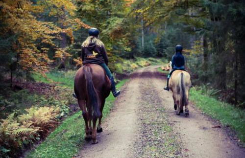 Ferienhof Gerda - Foto 60