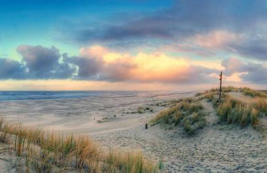 Arche Svea Kiebitz - Foto 15