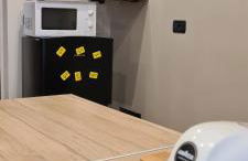 Musa Paradisiaca - Foto 16