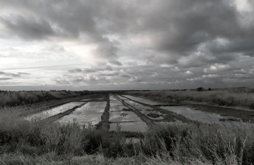 Maison pour 10, accès direct à la plage - Foto 22
