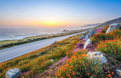 Aunt Ginnys River View - Photo 44