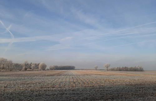 Ferienwohnungen Stellerbruch - Foto 4