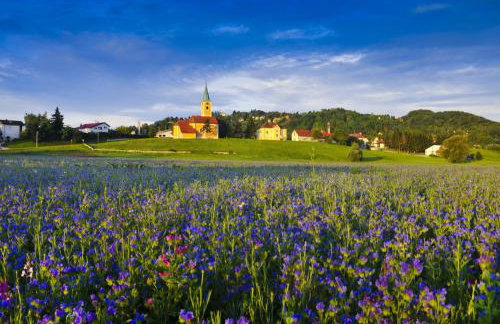 Apartman Goran - 130m Radiochirurgia - Foto 30