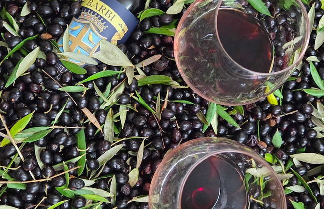 Il Casale Di John - Photo 1