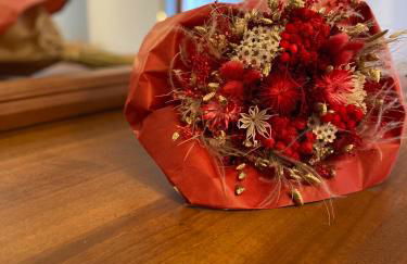 il tulipano - Photo 23