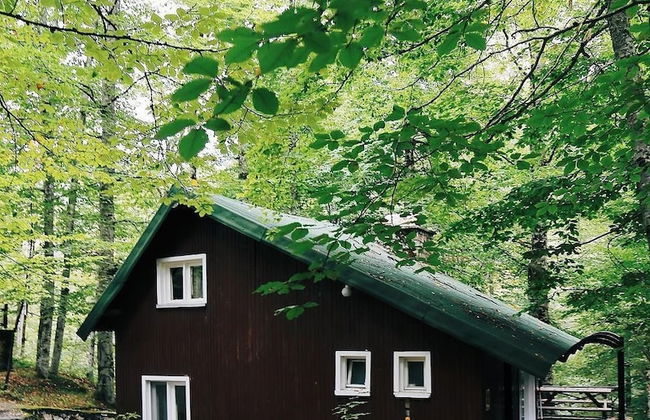 Habitat Mesire Evleri - Foto 43