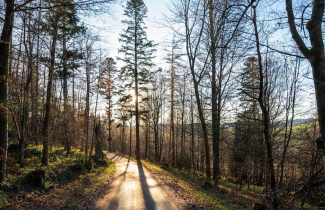 Tasteful Ground Floor Apartment with Terrace & Garden near Brilon - Foto 20