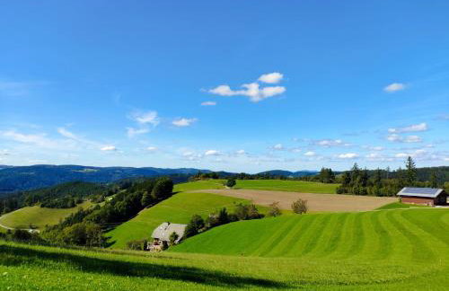 FreiRaum Panorama-Appartement mit Pool & Sauna - Foto 25