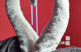 Appartement Romantique Climatisé BELORIZON - 30 min de la mer - Foto 21