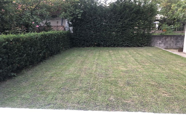 Sapanca Koy Evi - Foto 23