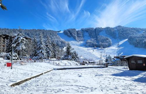 STUDIO plein sud "Les Arolles" Balcon de VILLARD DE LANS - Foto 24