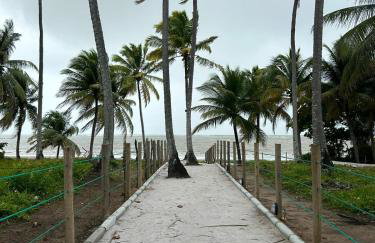 Mani Japaratinga - Foto 13