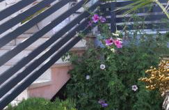 ŠPARADIĆI - Photo 7