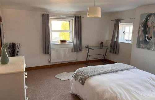 The Paddocks - Photo 12