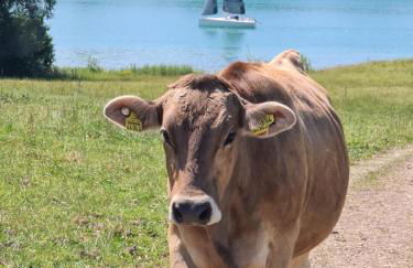 Ferienhaus und Landhaus Berger - Foto 18