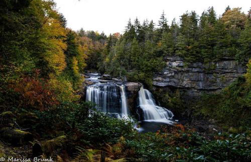 Treehouse Cabin in Riverton, WV - Foto 22
