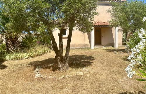 Manureva Calvi - Foto 54