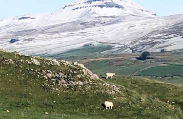 Woodstock Cottage, Settle, Yorkshire Dales - Photo 30