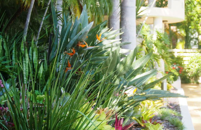 Mirra Chana - Foto 51