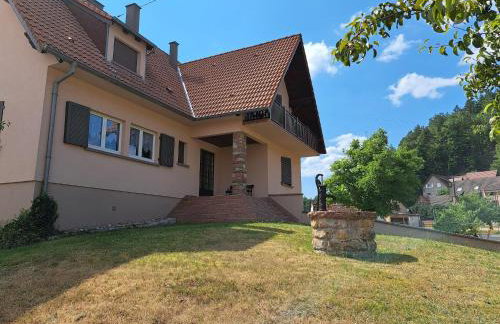 Holiday Home in Reipertswiller Near Castle - Foto 42