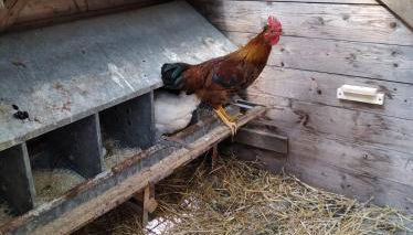 Il mulino che fu la filanda - Foto 2