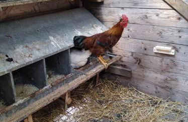 Il mulino che fu la filanda - Foto 2