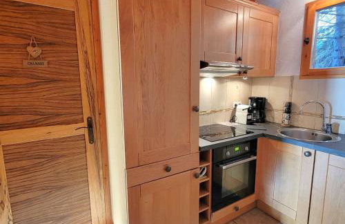 Chalet en bois 6 pers. avec terrasse Sud, lumineux et équipé, animaux admis – Saint-Michel-de-Chaillol - FR-1-393-12 - Foto 7