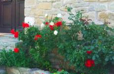 ΟΡΕΙΝΟ ΟΝΕΙΡΟ - Foto 44