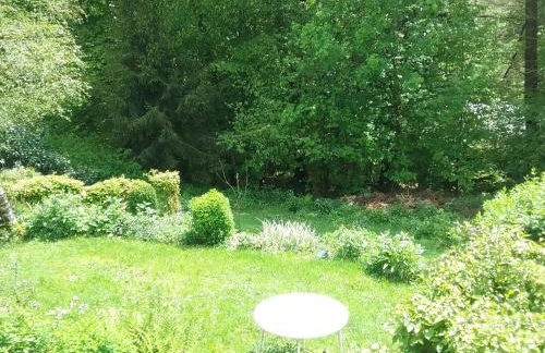 Perlenbachtal - Foto 38