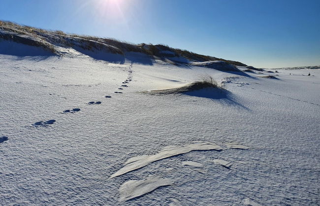 Fantastic House, Located Among Meadows and Nature, Near the Sea - Photo 23