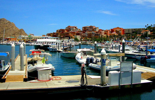 Excursion à Los Cabos et village magique de Todos Santos - Photo 1