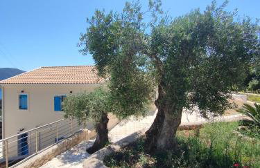 Villa Sasà - Foto 78