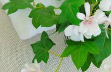 Apartamento Plumaria - Photo 13