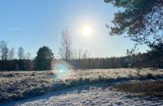 Ferienwohnung Ram 1 - Photo 50