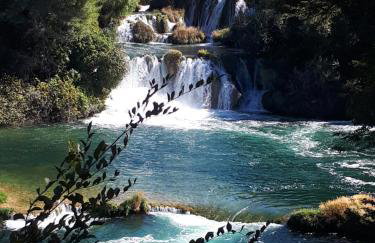 The Olive Garden - Foto 37