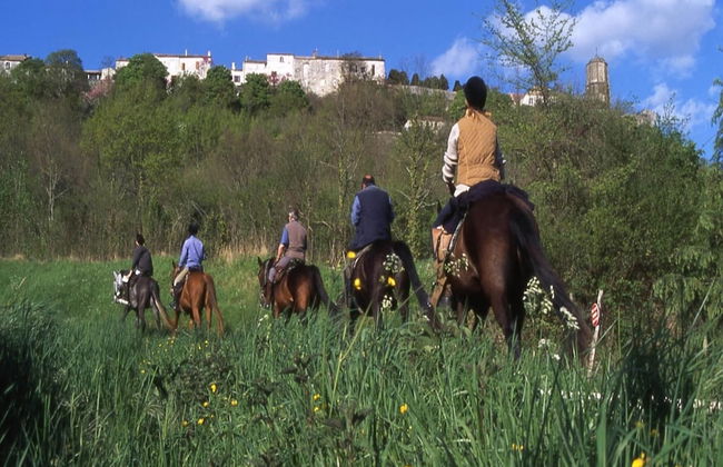 Detached Chalet With Dishwasher, on the Banks of the Lot - Foto 28