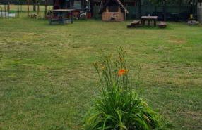 Kleine Ferienwohnung in der Natur - Foto 15