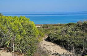 Acquamarina House by the sea - Foto 11