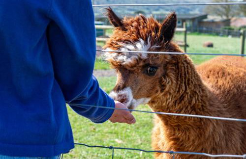 7, Rabbits Run, Camp Tapnell - Foto 31
