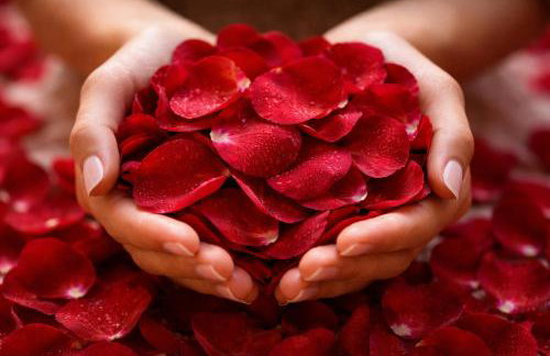 Loveroom Ô Diable Des Plaisirs - Foto 6