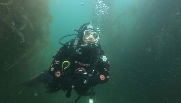 Beagle Channel Diving Introduction - Foto 3