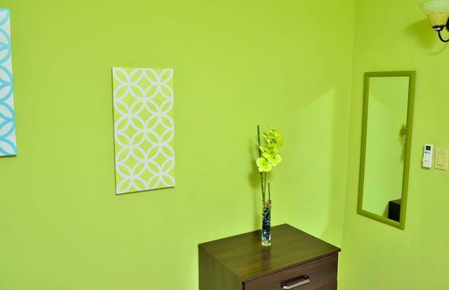 Kingston Sunset Guest Apartment II - Photo 14