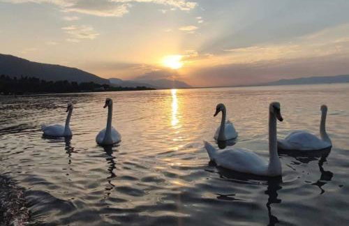 Magical View Studios 2 Asproneri, Kamena Vourla - Photo 66